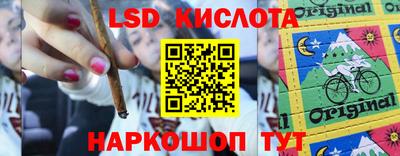 прущие грибы Лесосибирск