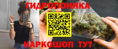 прущие грибы Лесосибирск