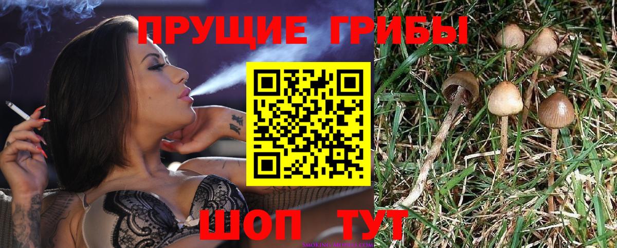 Меф   Дубна  Экстази  Лсд 25  Вход с VPN  Марихуана  МДМА  ГАШ 