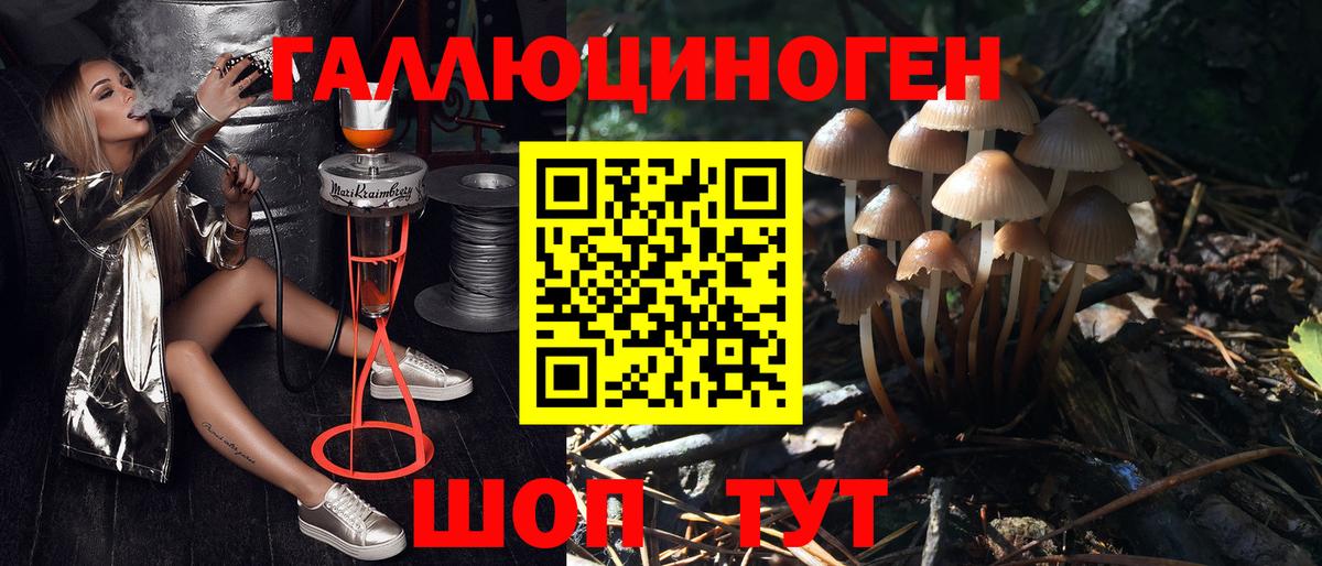 Галлюциногенные грибы Cubensis Дубна