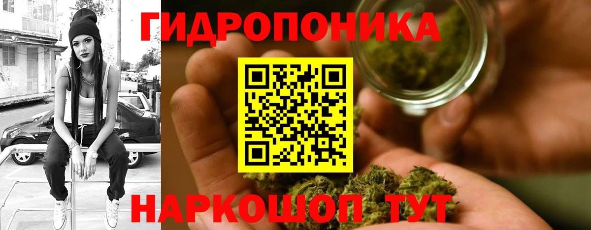 МАРИХУАНА планчик  Каннабис гибрид  Дубна  Каннабис марихуана  Вход с VPN  Бошки Шишки сатива 